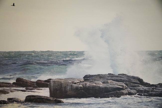 The Cape of Good Hope, South Africa. Photo by Johan Bergqvist - UNWATER38 - 18Aug2023 - Photo