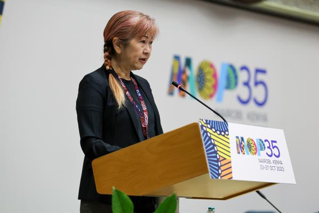 Megumi Seki, Executive Secretary, Ozone Secretariat