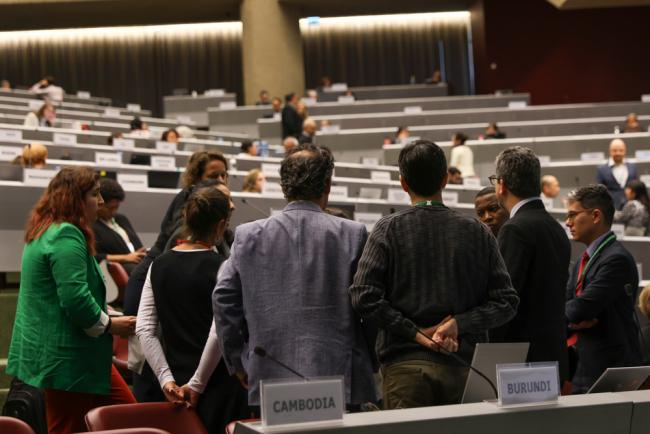Different groups huddle in plenary as negotiations continue