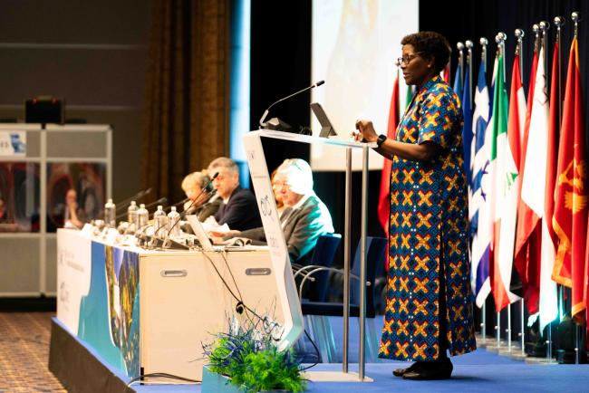 Elizabeth Maruma Mrema, Deputy Executive Director of UNEP