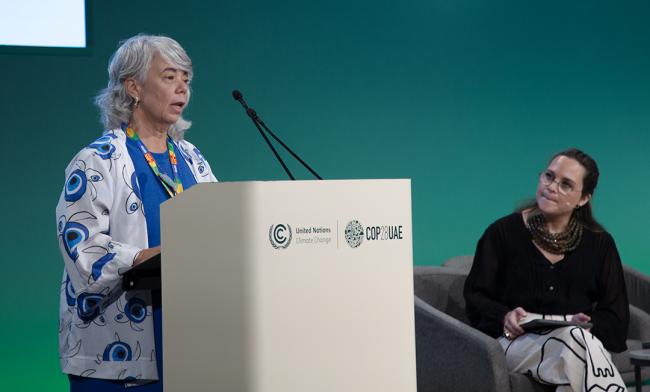 Ana Paula Leite Prates, Ministry of the Environment, Brazil - SideEvent - 9dec2023 - Photo