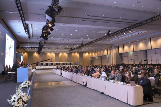 View of the room during the afternoon plenary 