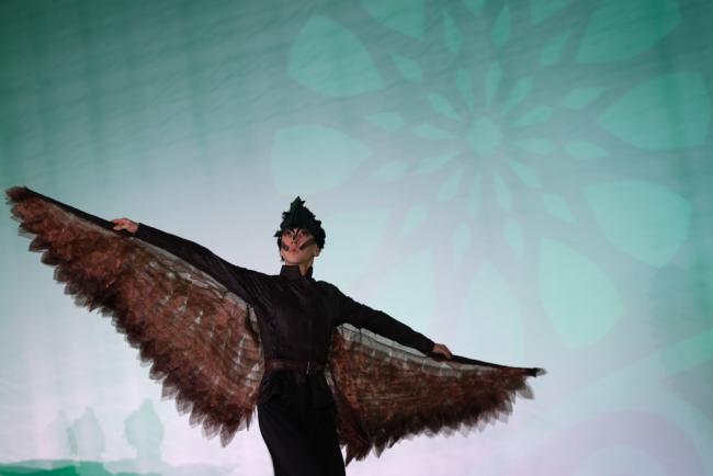 CMS COP14 opened with a performance highlighting the beauty and importance of migratory species
