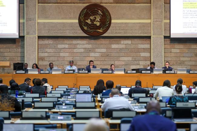 View of the dais during Working Group II: Cluster C