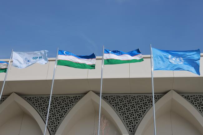 CMS COP14 Flag Ceremony