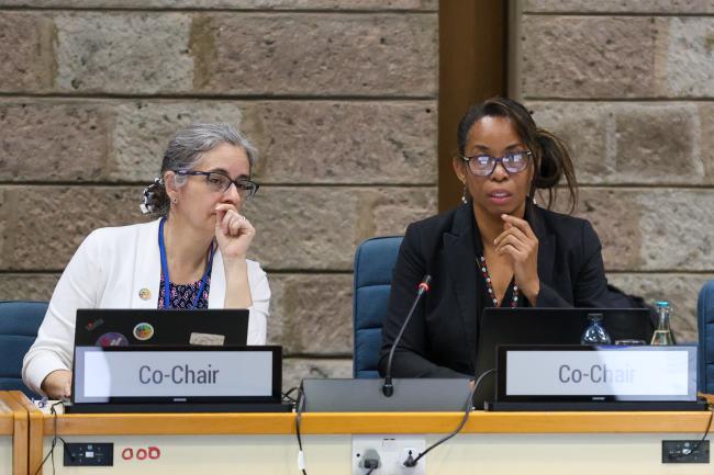 Contact Group on mechanisms for planning, monitoring, reporting, and review Co-Chairs Carolina Caceres, Canada, and Gillian Guthrie, Jamaica