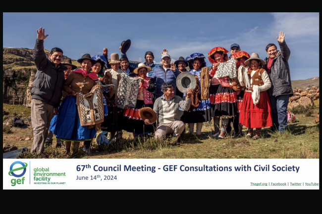 67 GEF CSO - GEF67Council_GEF_CSO_Consultation-14June2024