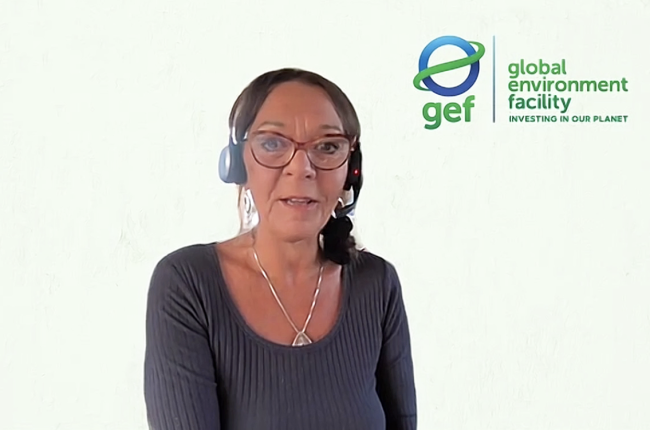 Gabriella Richardson Temm - GEF67Council_GEF_CSO_Consultation-14June2024