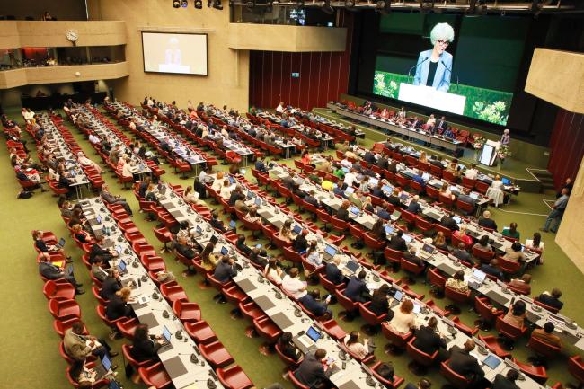 View of the room during the opening session