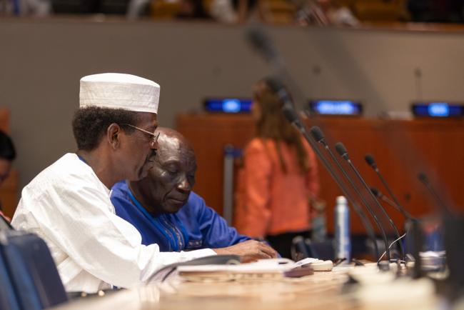 Delegates in plenary