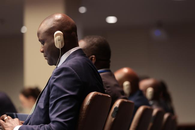 Delegates listen to interventions throughout the day