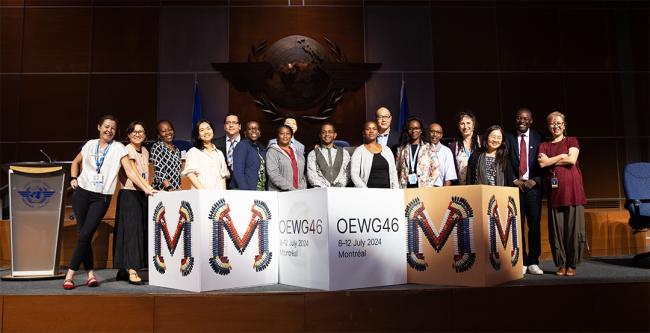 Ozone Secretariat - OEWG46 - 12July2024