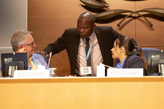 Plenary Chairs - OEWG46 - 12July2024