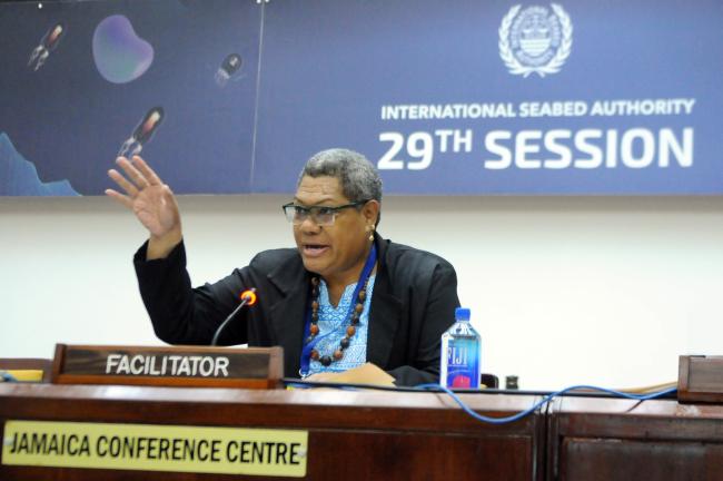 Raijeli Taga, Fiji, Facilitator of the Informal Working Group on the protection and preservation of the marine environment