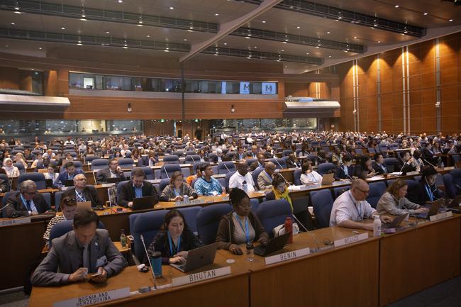 View of the room - OEWG46 - 10July2024