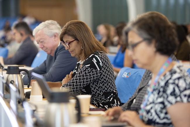 participants during plenary - COFO27 - 24Jul2024