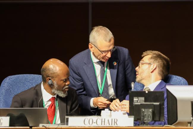 From L-R: Taukondjo Shikongo, Secretary, Working Group on DSI; David Cooper, CBD Deputy Executive Secretary; and CoW Co-Chair William Lockhart, UK