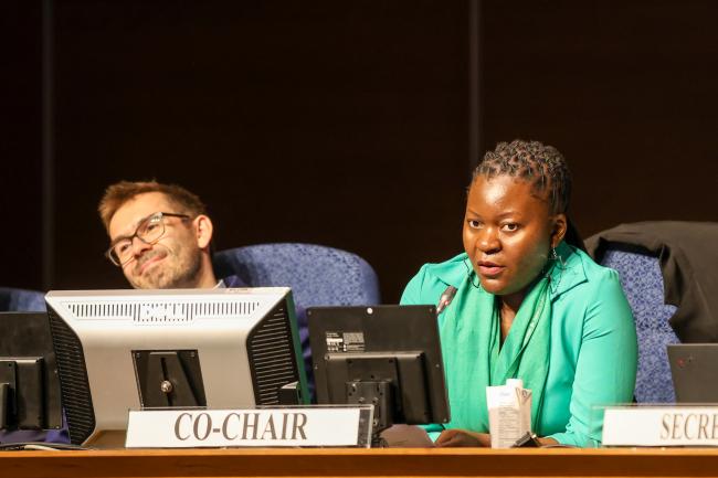 CoW Co-Chairs William Lockhart, UK, and Martha Mphatso Kalemba, Malawi