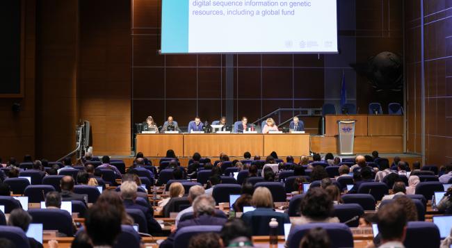 View of the dais during the Committee of the Whole