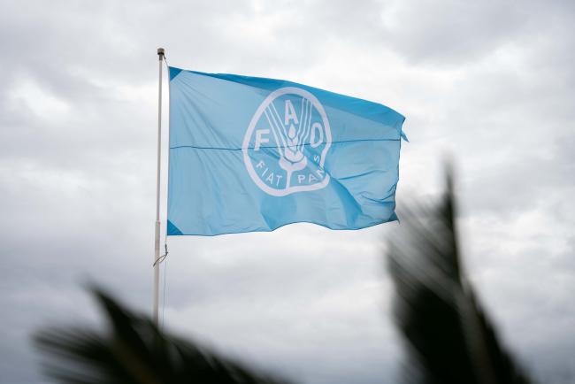 FAO flag