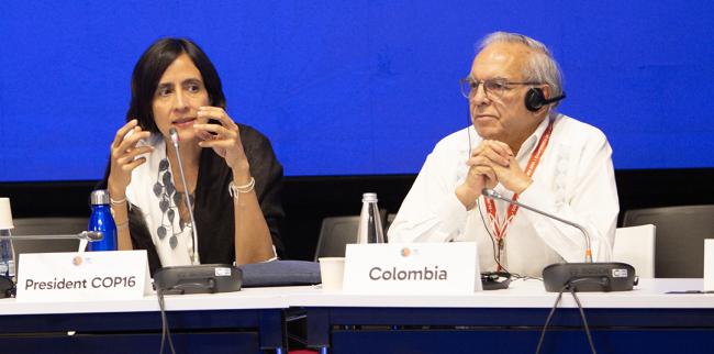 1 President COP 16 Susana Muhamad, Minister of Environment, Colombia and María Susana Muhamad González, Minister of Environment and Sustainable Development, Colombia, Financial System Reform - 29 Oct 2024