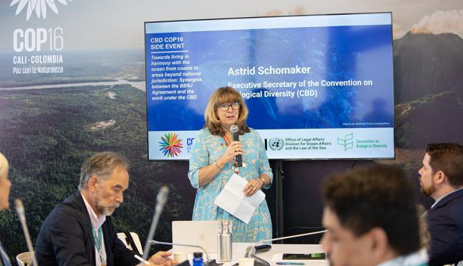 Astrid Schomaker, Executive Secretary of the Convention on Biological Diversity (CBD) - Towards living in harmony with the ocean - 23 Oct2024