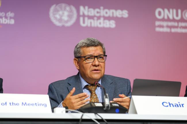 Working Group II Chair Hesiquio Benítez Díaz, Mexico