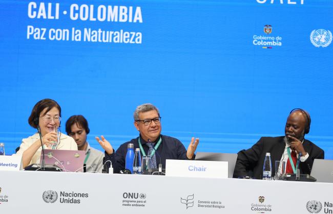 From L-R: Working Group II Secretary Jihyun Lee; Working Group II Chair Hesiquio Benítez Díaz, Mexico; and Taukondjo Shikongo, CBD Secretariat