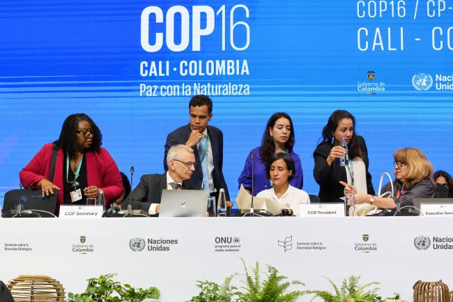 View of the dais during the plenary