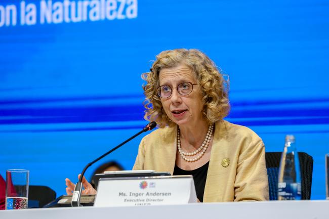 Inger Andersen, Executive Director, UN Environment Programme 