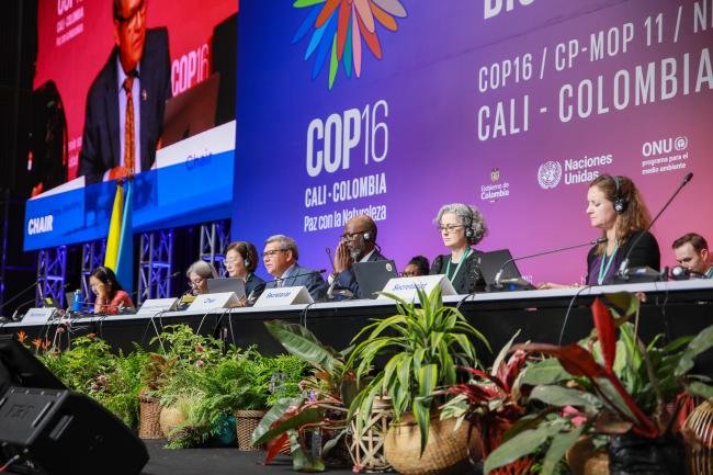 View of the dais during Working Group II