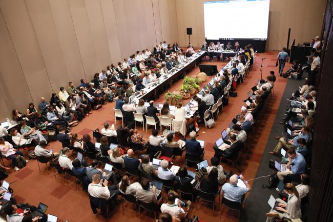 View of the room during the Contact Group on DSI