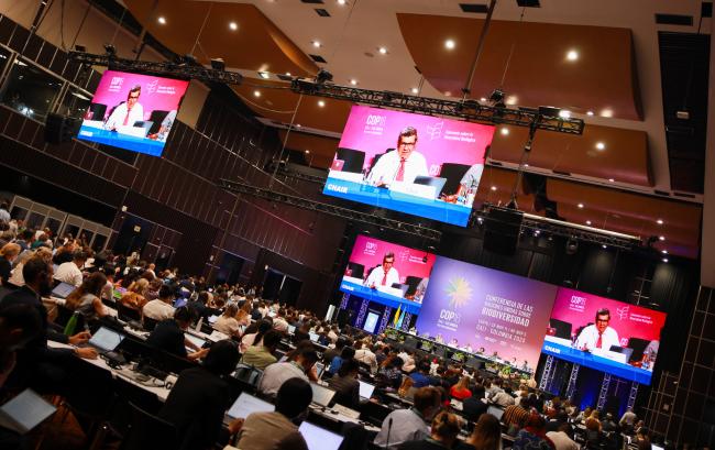 View of the room during Working Group II