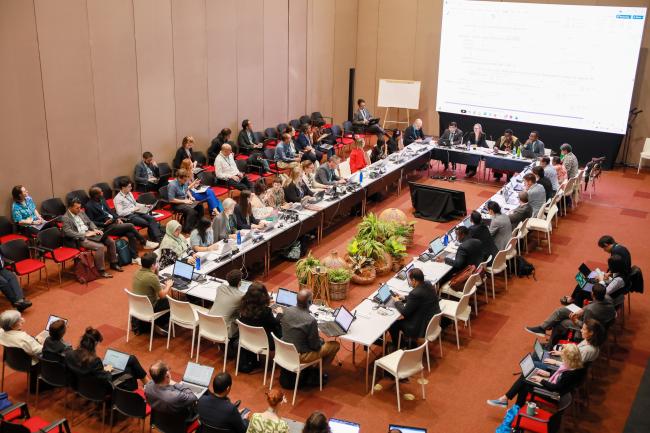 View of the room during the Contact Group on capacity building 