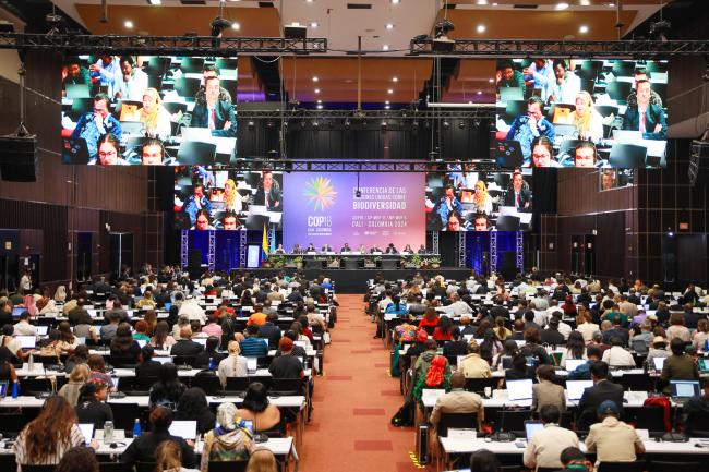 View of the room during Working Group I