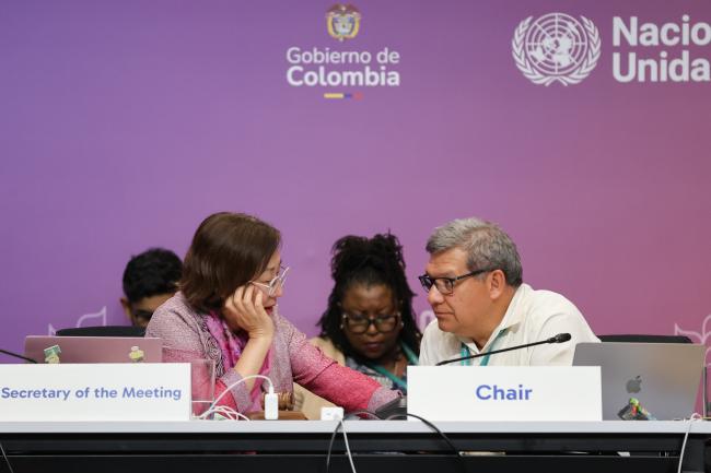 Working Group II Secretary Jihyun Lee, and Working Group II Chair Hesiquio Benítez Díaz, Mexico