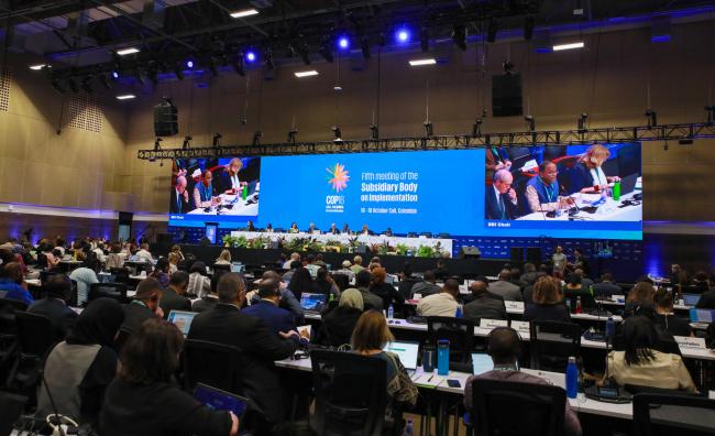 View of the room during the morning plenary