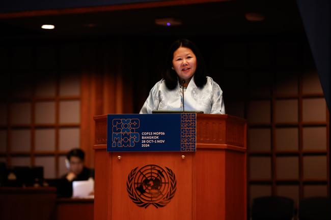 Dechen Tsering, UNEP_montreal-protocal-ozone-mop36-photo.jpg