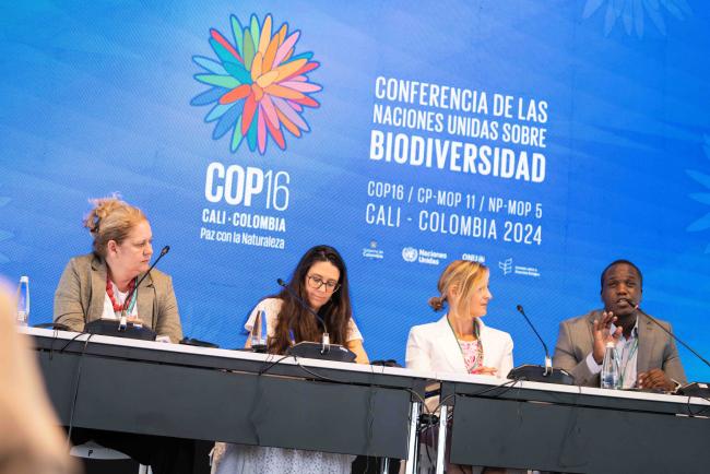 Katherine Madden, NBSAP Accelerator Partnership, Jillian Campbell, CBD, Christina Supples, UNDP and Antony Kamau, UNEP