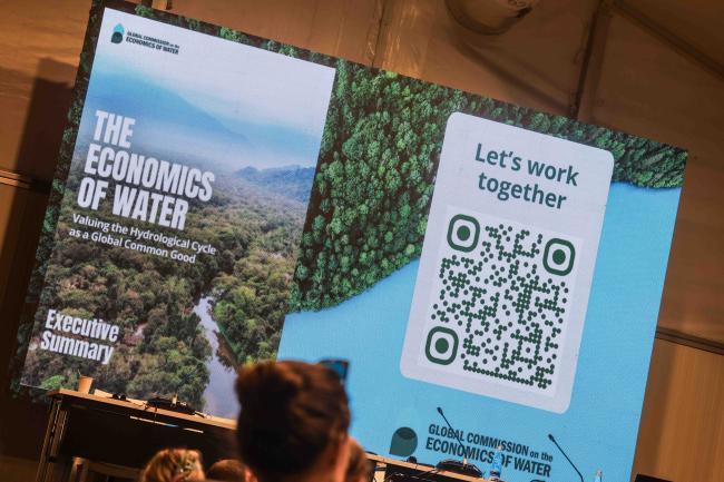 Launch of the Economics of Water report - Forest and Water -24oct24-photo