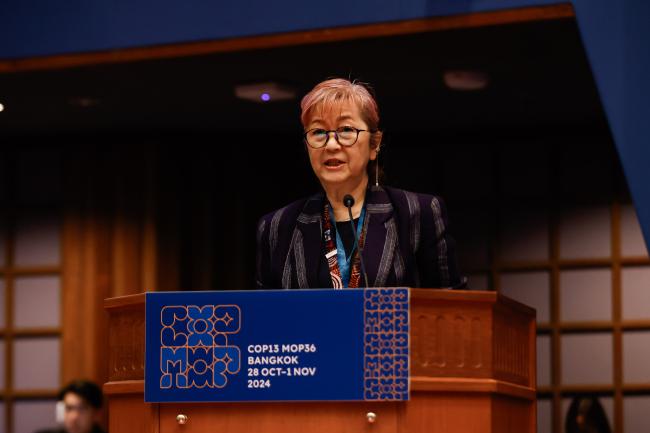 Megumi Seki, Executive Secretary, Ozone Secretariat_montreal-protocal-ozone-mop36-photo.jpg