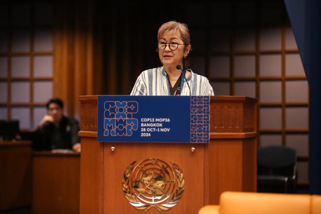 Megumi Seki, Executive Secretary, Ozone Secretariat_montreal-protocol-ozone-mop36_27Oct2024_photo.jpg