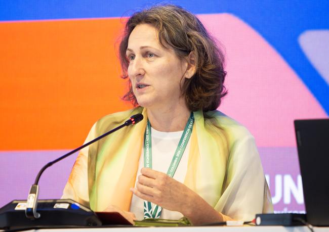 Monika Stankiewicz, Executive Secretary, Minamata Convention on Mercury - Cooperation Day - 31Oct2024