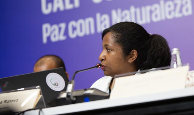 Olitina Ratovo, Ministry of the Environment and Sustainable Development, Madagascar - Solutions for the Implementation of Synergies - 25 Oct2024