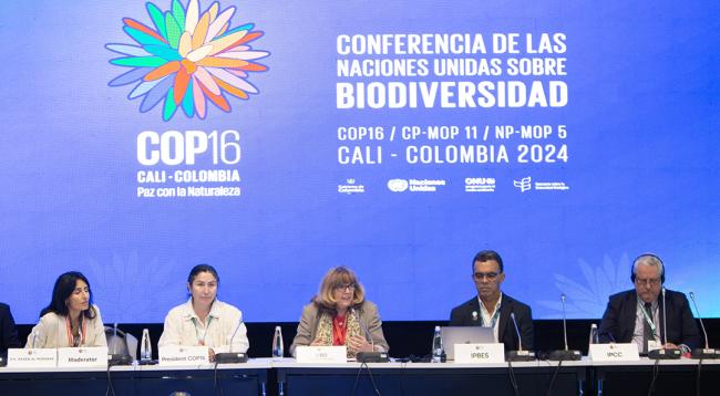 Panel - Synergies between biodiversity and climate change- 30 Oct 2024