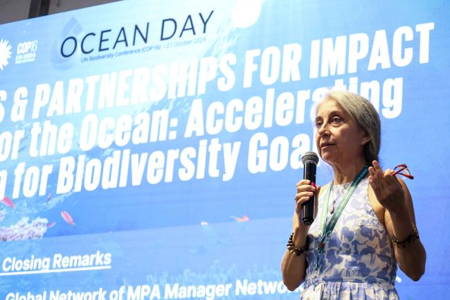 Puri Canals, Global Network of MPA Manager Networks - Ocean Day -27oct24-photo