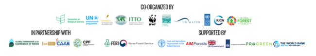 Forest and Water day logos