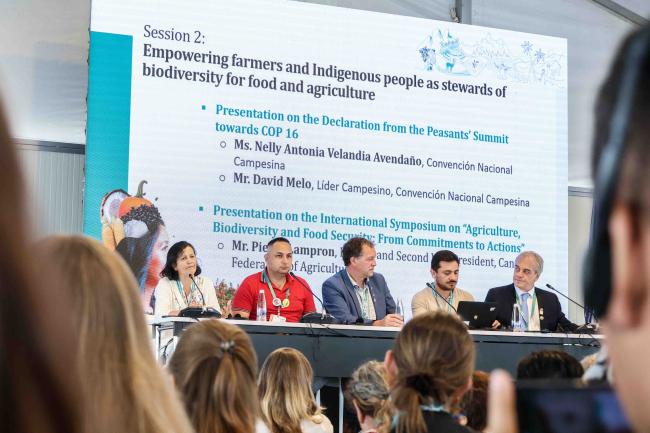 Speakers setting the floor on the topic of empowering farmers and Indigenous Peoples as stewards of biodiversity for food and agriculture - Food Day -28oct24-photo