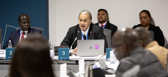 Viliami Manu, CEO for Agriculture, Food and Forestry, Tonga - Formulating and Implementing NAPS -19Nov2024