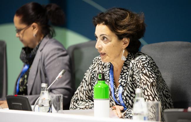 Apollonia Miola, EU - SCF for COP 29 - 13 Nov2024